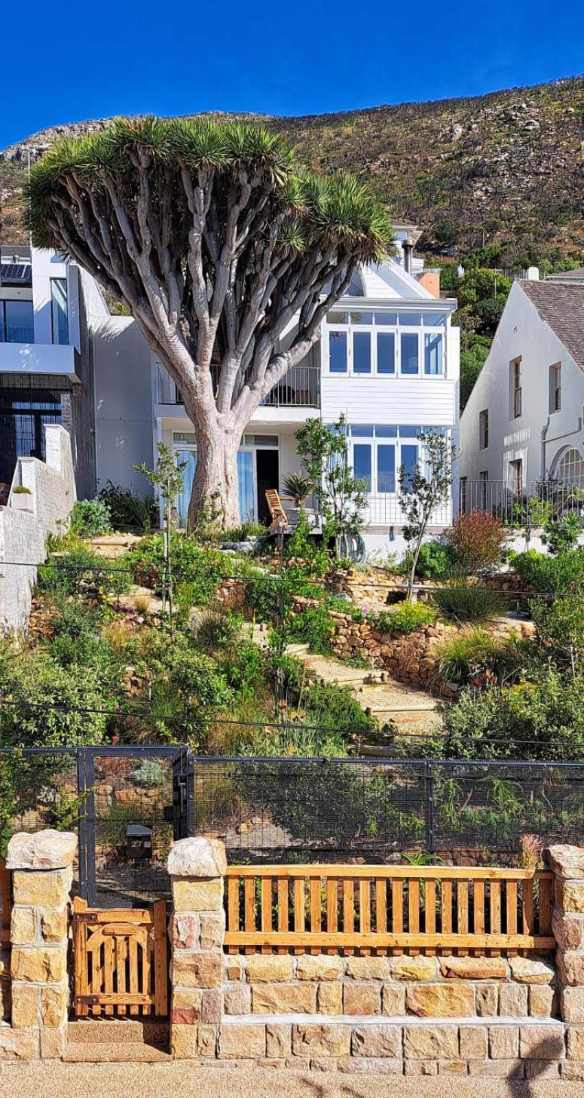 The Dragon Tree Guesthouse Kalk Bay Exterior foto